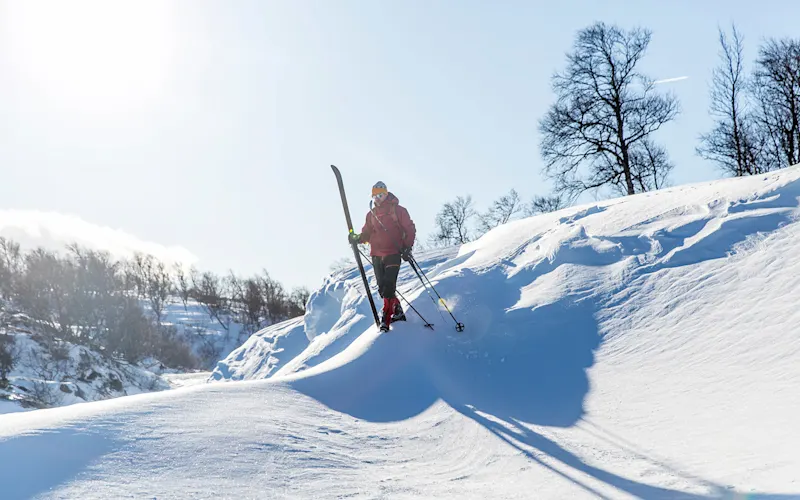 Discover SAS new destinations