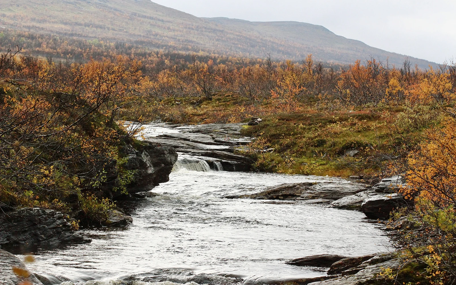 Experience fall in Scandinavia
