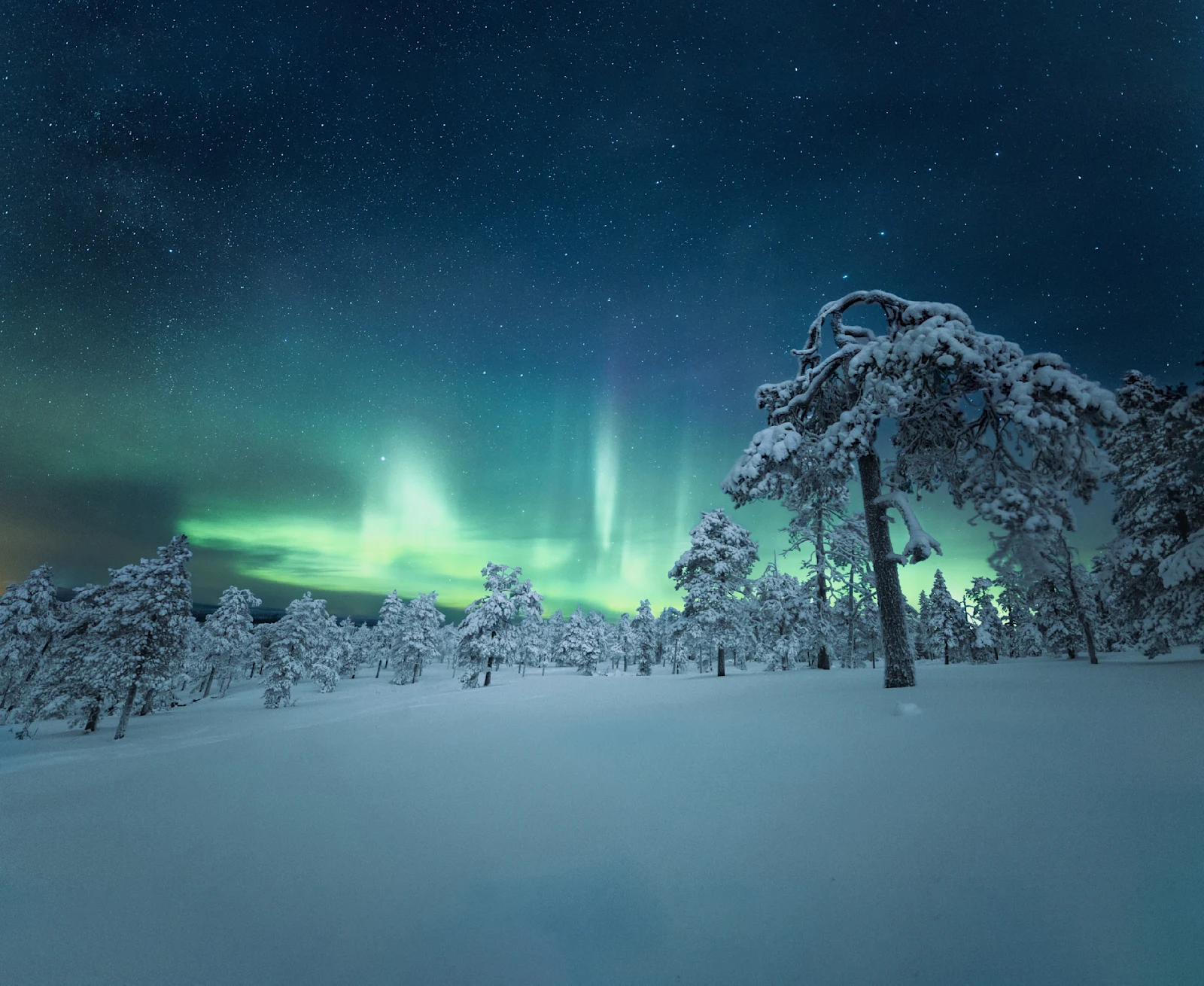 Witness the spectacular Northern Lights